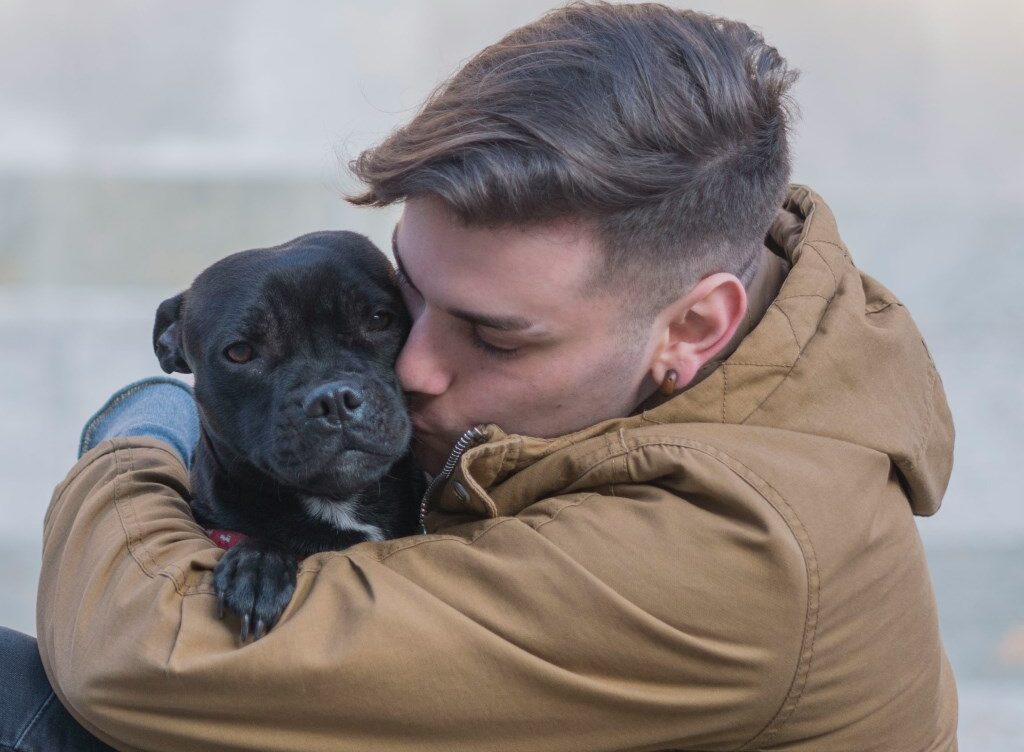 Justice for Pets: Preventing Tragic Losses and Advocating for Safer Communities