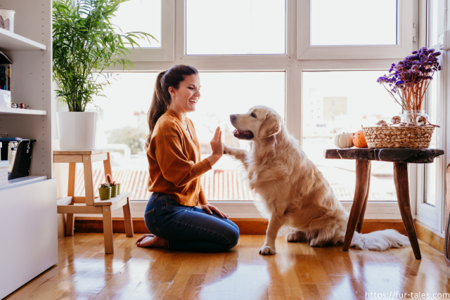 How Your Pet’s Name Affects Their Personality (or Does It?)