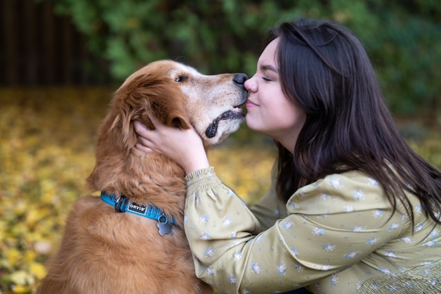 How Pets Express Gratitude Toward Their Owners