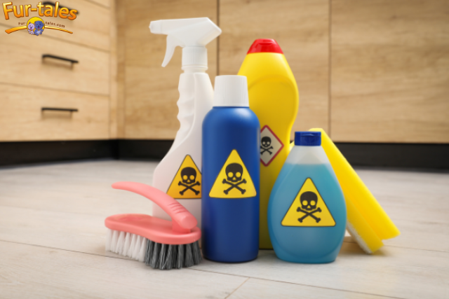 Understanding and Preventing Common Pet Poisons: A Comprehensive Guide