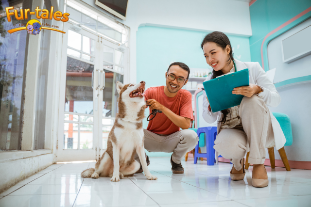 The Importance of Pet Health Screenings: Early Detection and Prevention
