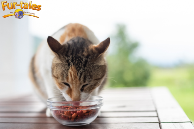 The Benefits of Grain-Free Diets for Cats