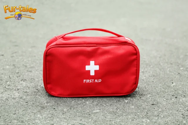 First Aid Kit Essentials for Bird Owners