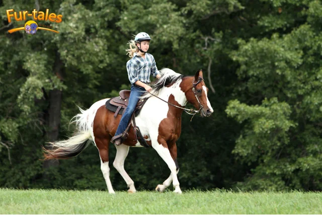 Essential Horse Riding Safety Tips Every Rider Should Know