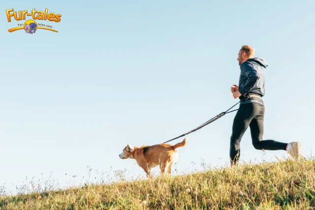Running with Your Dog: A Fitness Plan for You and Your Pup