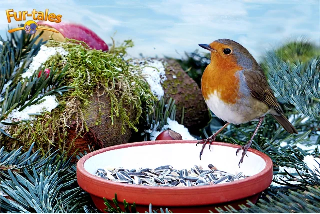 From Seeds to Fruits: 7 Healthy Bird Treats You Can Trust