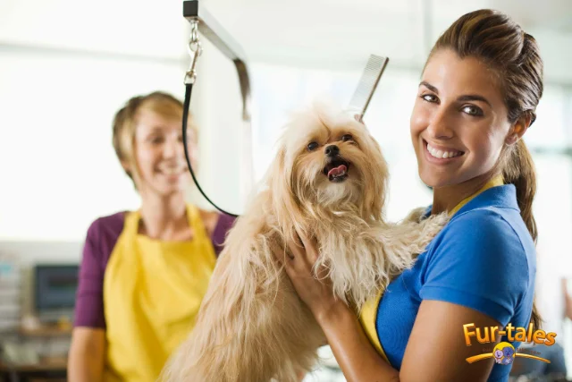 Must-Have Tools for Dog Groomers: Build the Perfect Grooming Kit