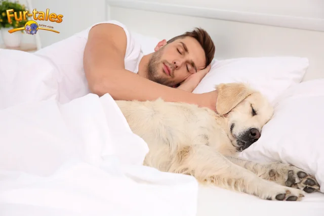 Sleeping with Pets: Comforting Habit or a Bad Move?
