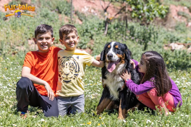 Bernese Mountain Dog and Kids: Why They Make Loyal Family Companions