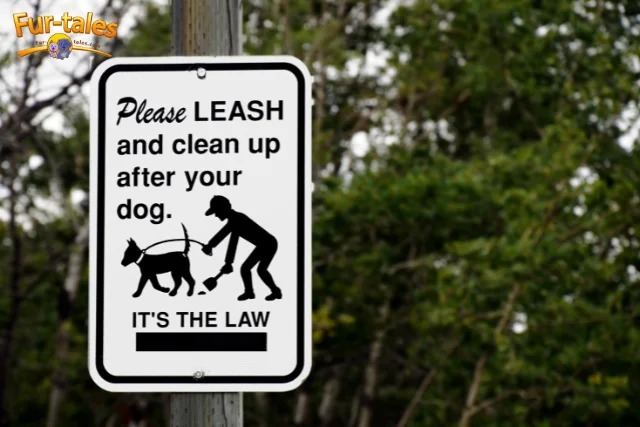 Dog Leash Laws Explained: What Every Dog Owner Should Know