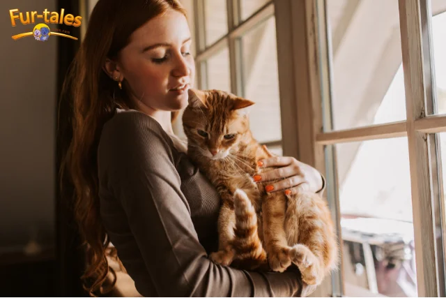 How Cats Show Love: A Guide to Understanding Feline Emotions