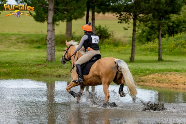 Horse Exercise Plans That Work for Every Stage of Life