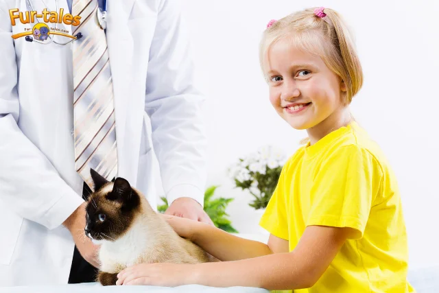Common Health Issues in Siamese Cats and How to Prevent Them