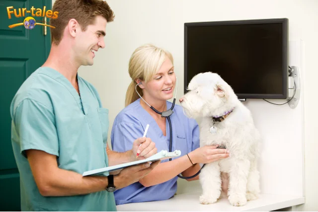 Routine Vet Check-Ups: The Key to Your Pet’s Long-Term Health