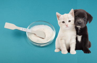 Carrageenan dog and cat