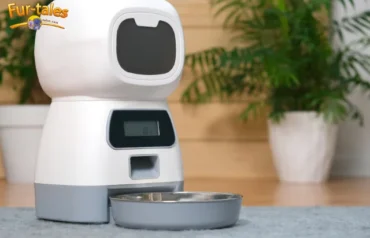 Smart Automatic Feeders